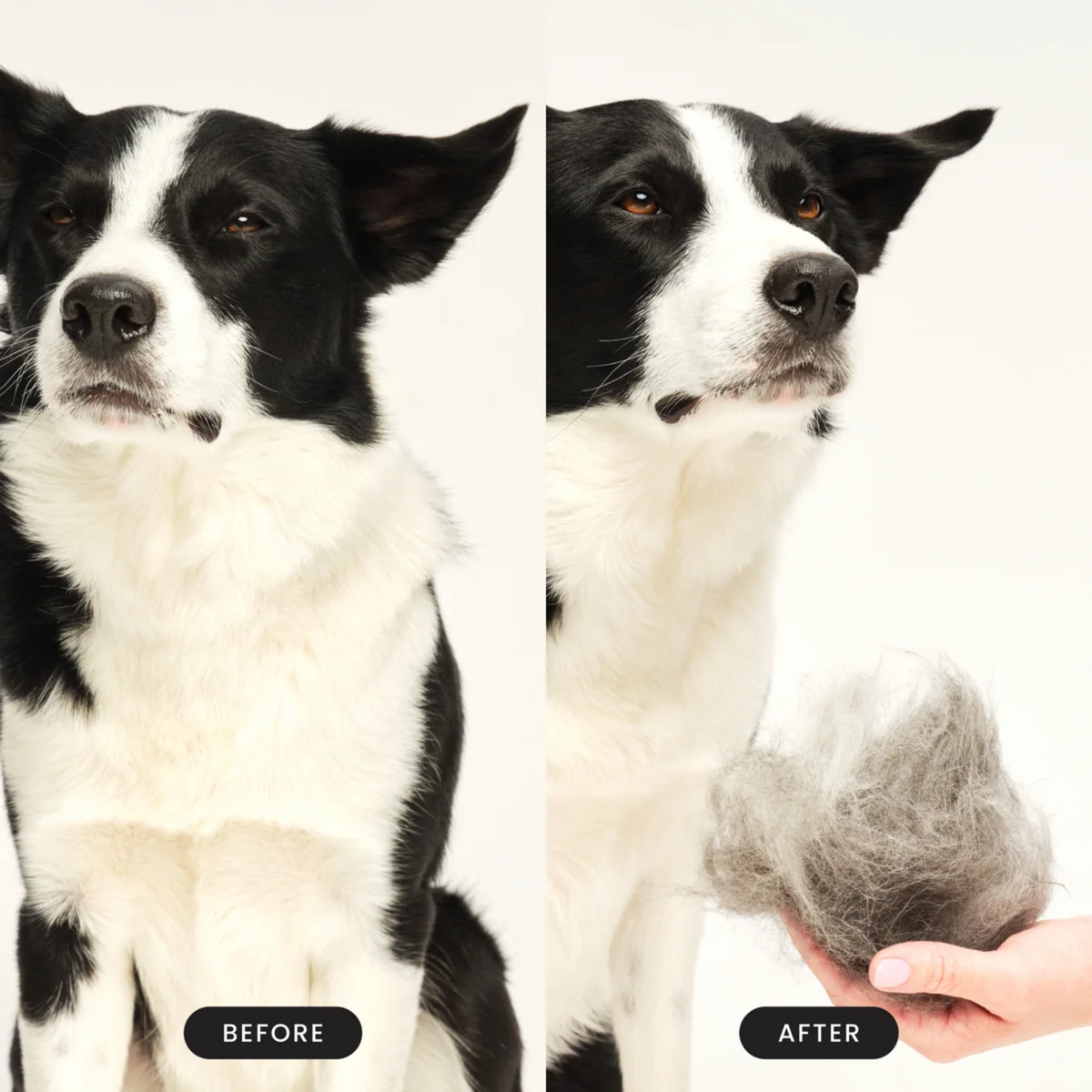 Tangle Teezer Pet De-Shedding Purple and Black large