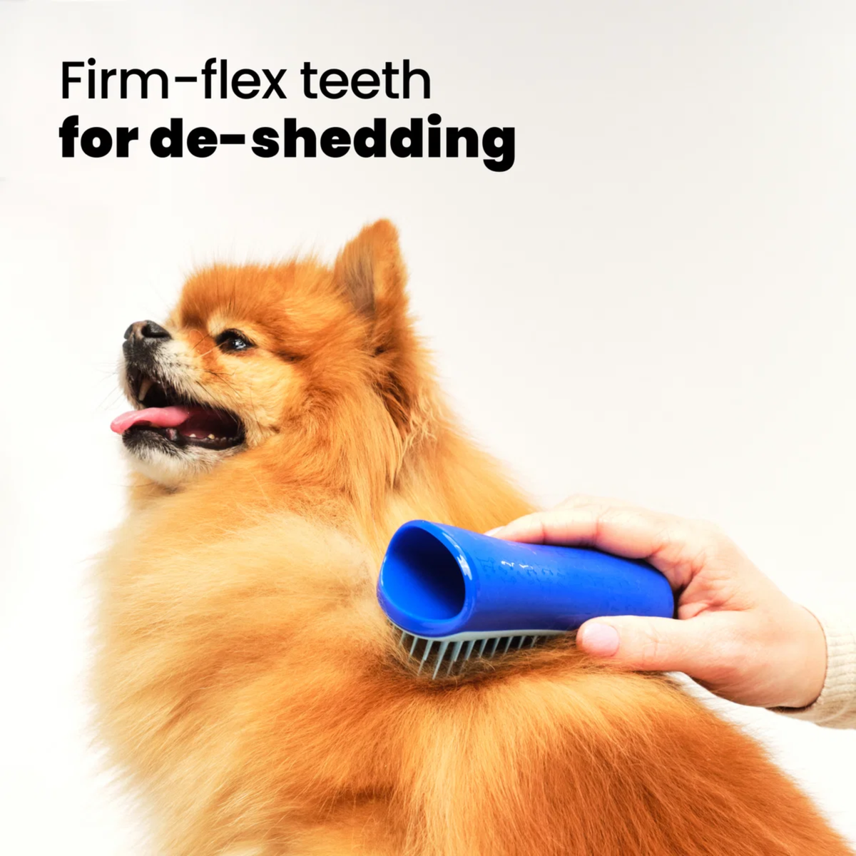 Tangle Teezer Pet DeShedding Small Black and Light Blue