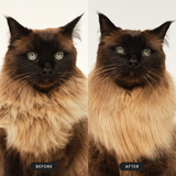 Tangle Teezer Cat Grooming Brush