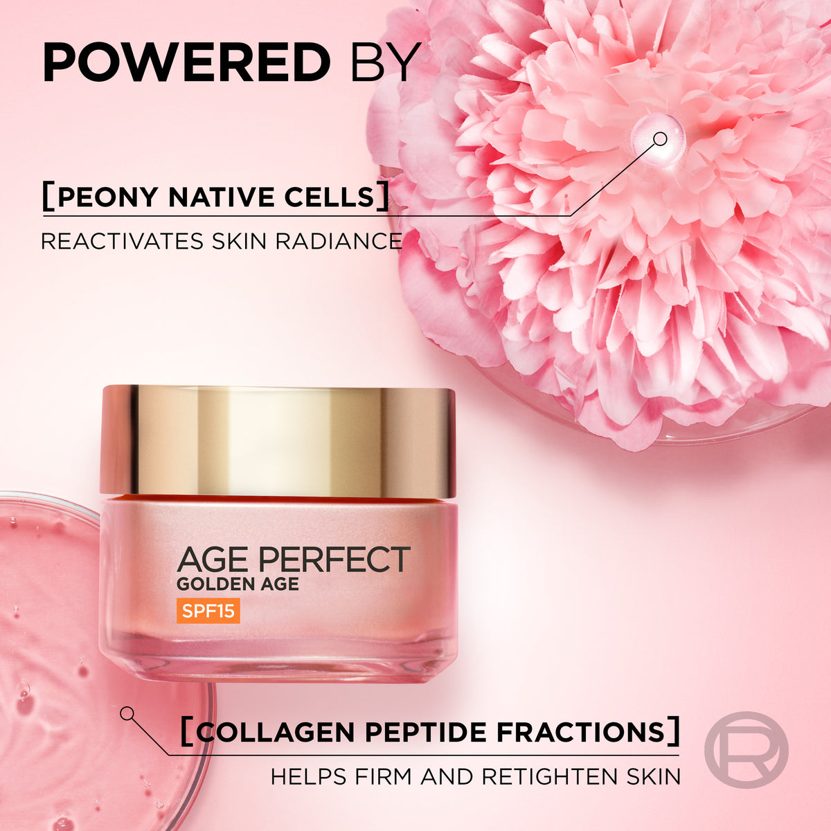 L'Oréal Paris Age Perfect Golden Age Rosy SPF15 Day Cream 50ml