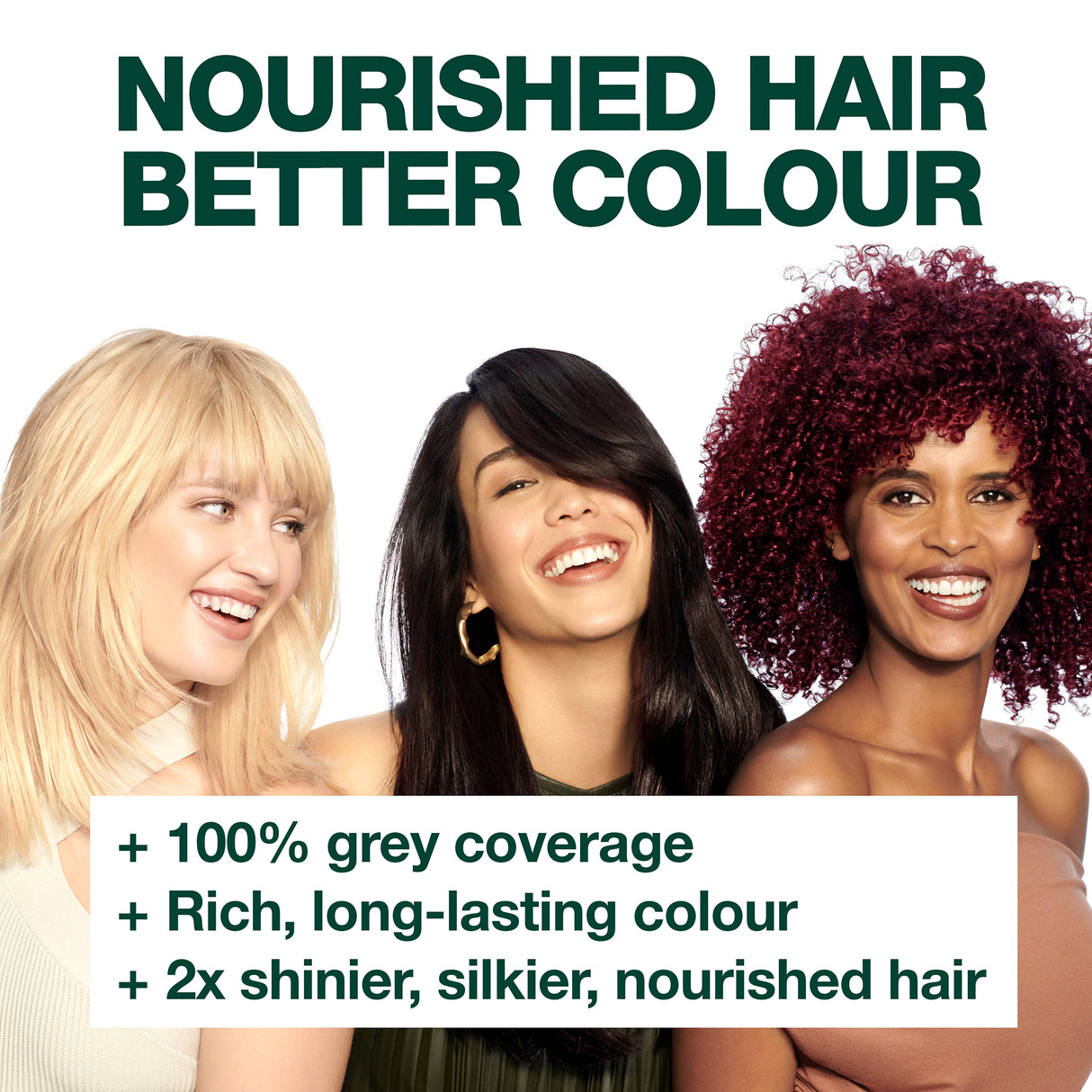 Garnier Nutrisse Permanent Hair Colour - 9.13 Natural Light Ash Blonde