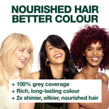 Garnier Nutrisse Permanent Hair Colour - 9.13 Natural Light Ash Blonde