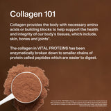 Vital Proteins Collagen Peptides Chocolate 329g