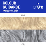 Schwarzkopf Live Colour Pastels Cool Grey 75ml
