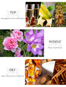 Dear Body Wild At Kiss Hand & Body Cream 75ml