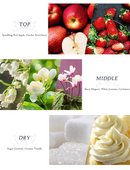 Dear Body Malibu Lemon Blossom Body Lotion 500ml