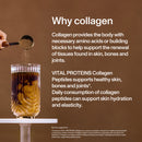 Vital Proteins Collagen Peptides Chocolate 329g