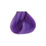 KISS Tintation Vivid Violet