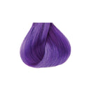 KISS Tintation Vivid Violet