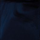 Sally Hansen Insta-Dri 493 Midnight Drive