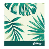 Kleenex Everday Silk Touch Facial Tissues, Jumbo Box 250 Sheets