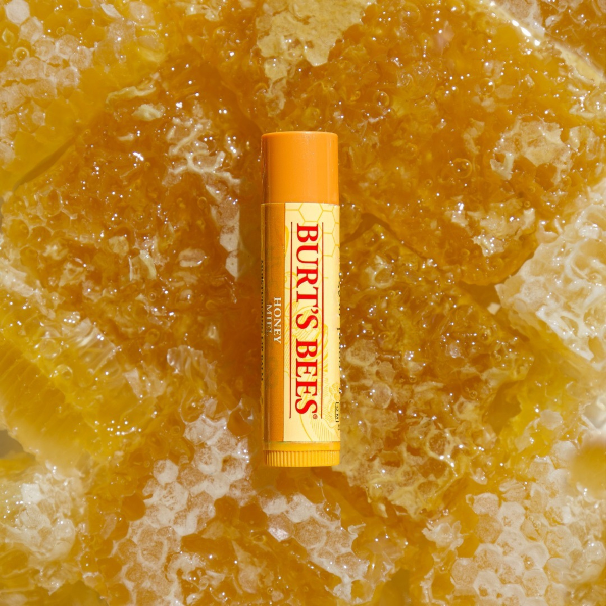 Burt's Bees Honey Hydrating Lip Balm