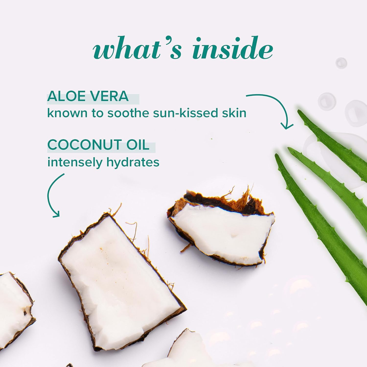 BURTS Bees After Sun Soother Soothing Aloe