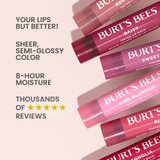 BURTS Bees Tinted Lip Balm Daisy 4.25g