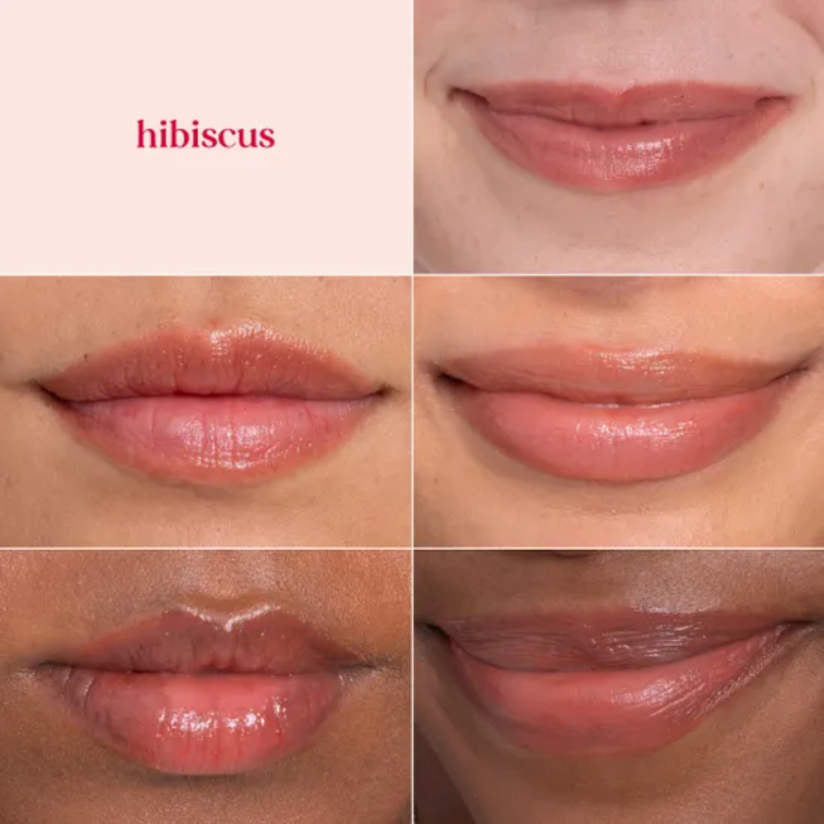 Burts Bees Tinted Lip Balm Hibiscus