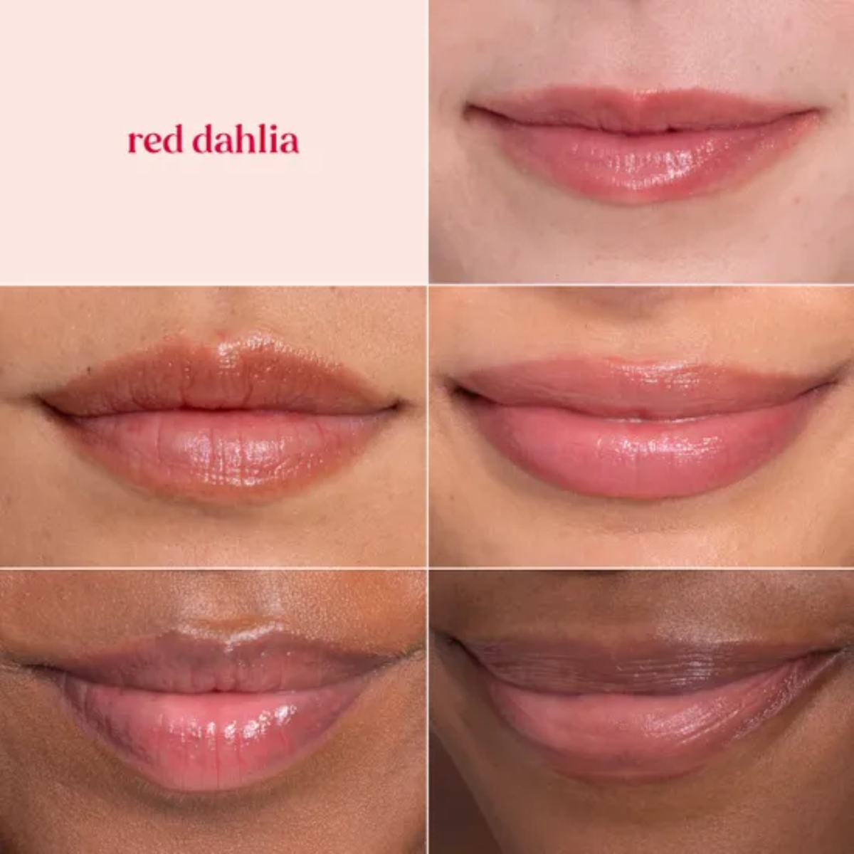 Burt's Bees Tinted Lip Balm Red Dahlia