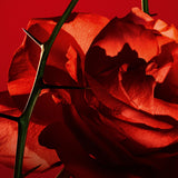 Amor Amor EdT Spray 30ml
