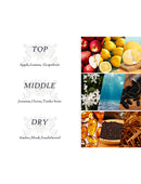 Dear Body Lost In Amber Fragrance Mist For Men 236ml