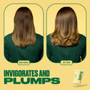 BEING Shampoo Big Hair 354ml