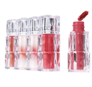 TirTir Waterism Glow Tint 12 Rich Rush 1.8g