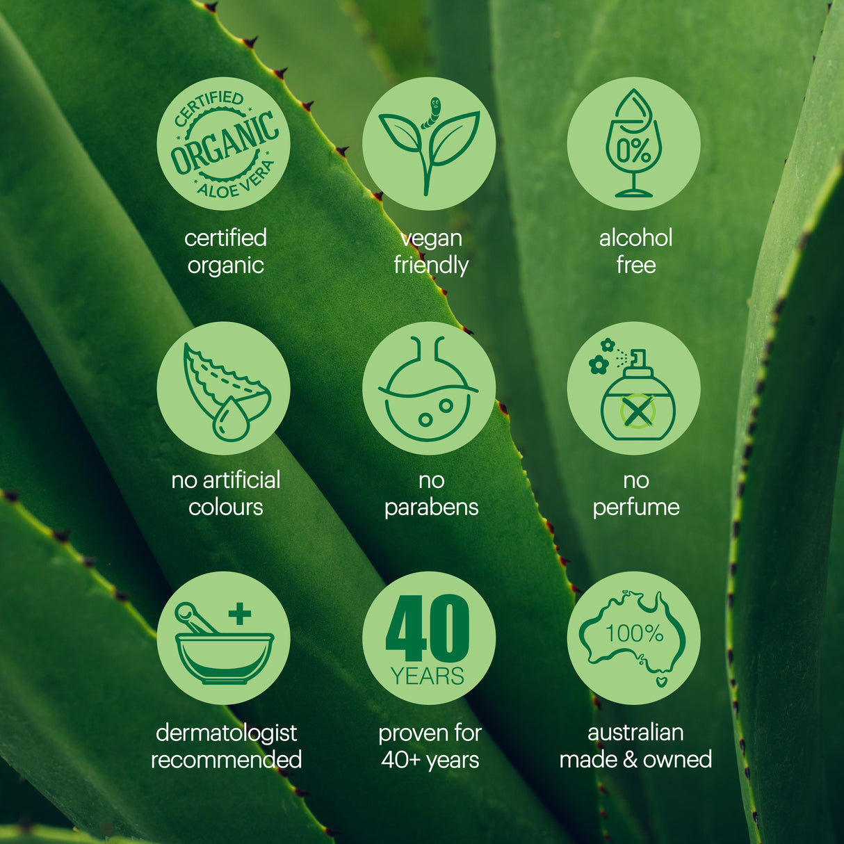 Plunkett's 99% Pure Aloe Vera Soothing Gel 240mL