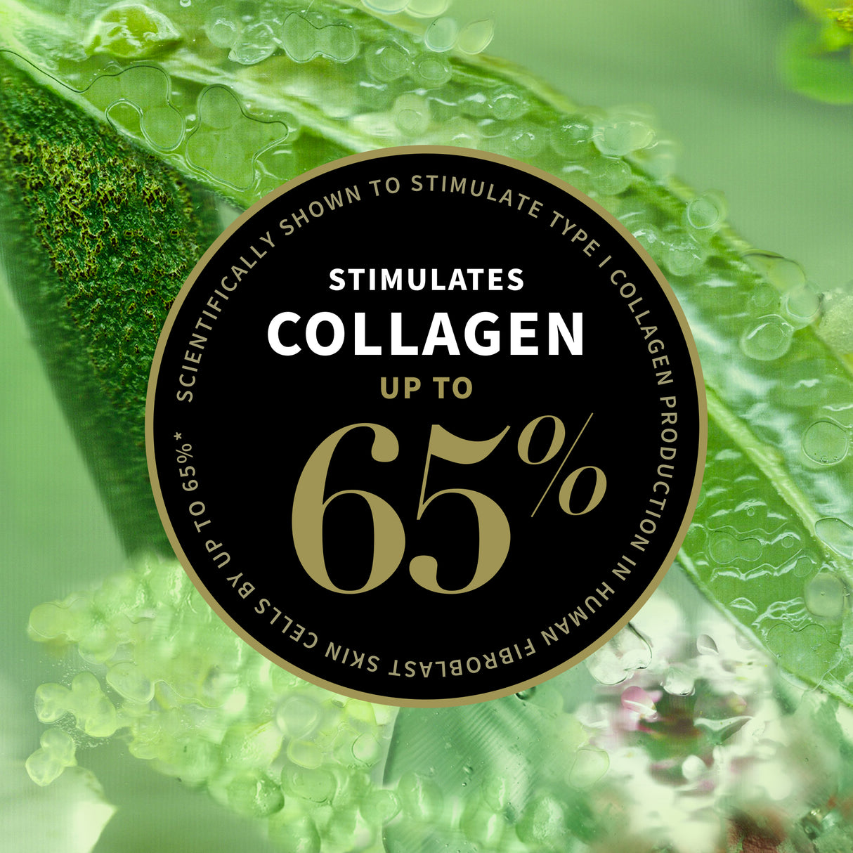 Antipodes Lime Caviar Collagen-Rich Firming Cream 15ml