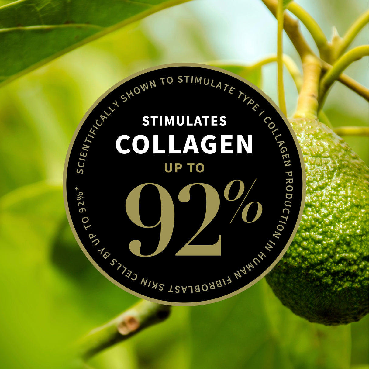 Antipodes Avocado Pear Collagen-Boosting Night Cream 15ml