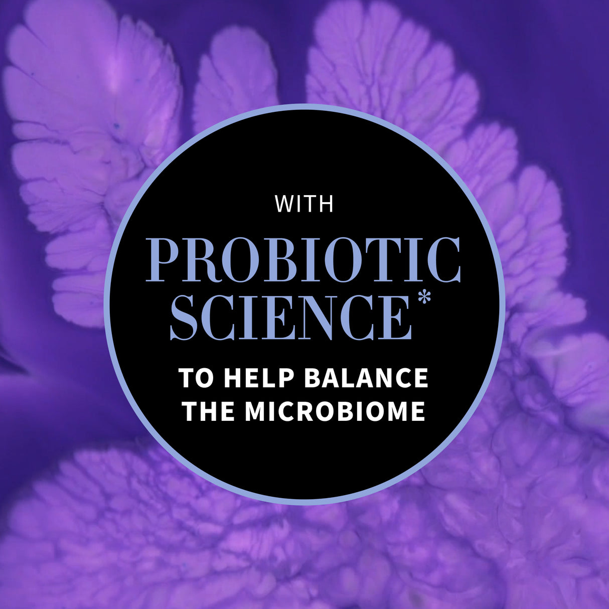 Culture Probiotic Night Recovery Water Cream 15ml