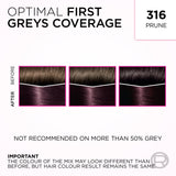 L'Oréal Paris Casting Crème Gloss Semi-Permanent Hair Colour - 316 Plum (Ammonia Free)