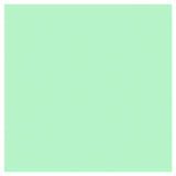 Sally Hansen Insta-Dri Gain Mo-Mint-Um 510