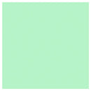 Sally Hansen Insta-Dri Gain Mo-Mint-Um 510