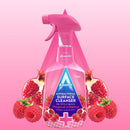 Astonish Antibacterial Cleanser 750ml