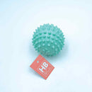 HB&Co Pet Toy Chew Ball 1ea