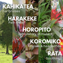 X-Zone Relief Spray 100ml