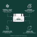 TIME CAPSULE YOUTH SEAL DAY CREAM 50ML