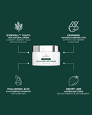 TIME CAPSULE YOUTH SEAL DAY CREAM 50ML