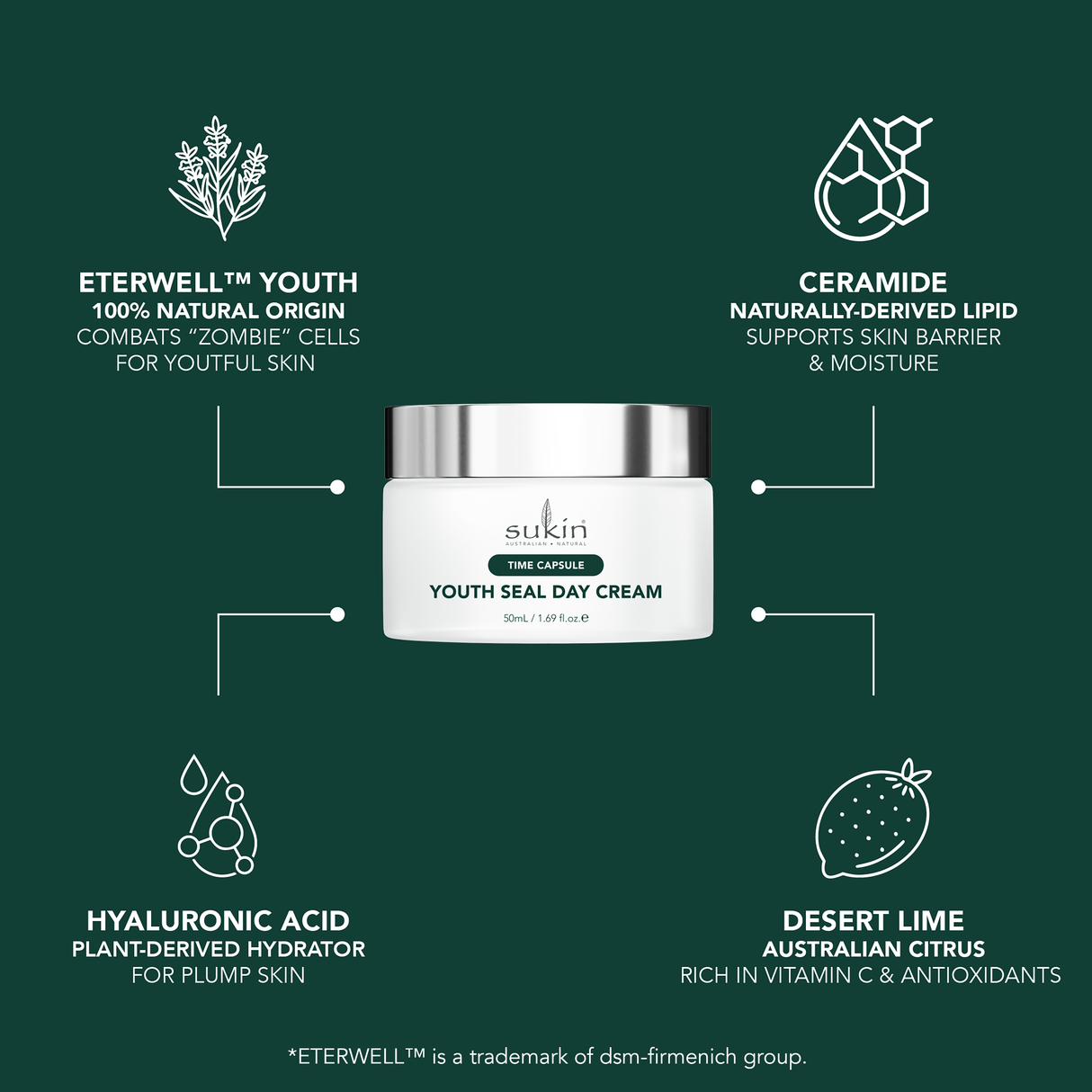 TIME CAPSULE YOUTH SEAL DAY CREAM 50ML