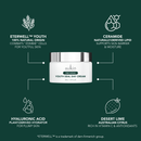 TIME CAPSULE YOUTH SEAL DAY CREAM 50ML