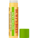 BURTS Kiwi Melon Lip Balm 4.25g