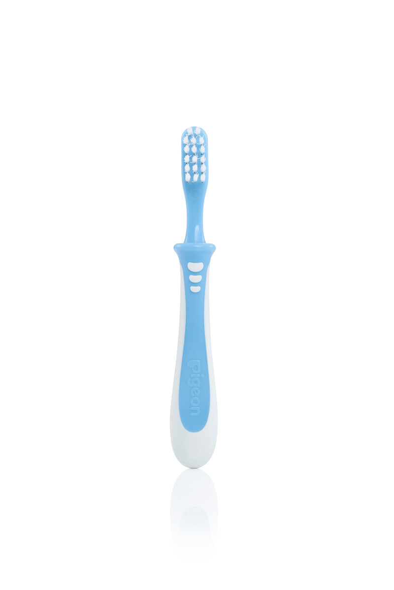 Pigeon Training Toothbrush Lesson 3 - Light Blue
