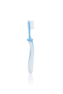 Pigeon Training Toothbrush Lesson 3 - Light Blue