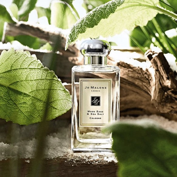 Jo Malone London Cologne Wood Sage & Sea Salt 100ml – Bargain Chemist