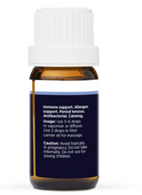 Dolphin Clinic Oregano Essential Oil