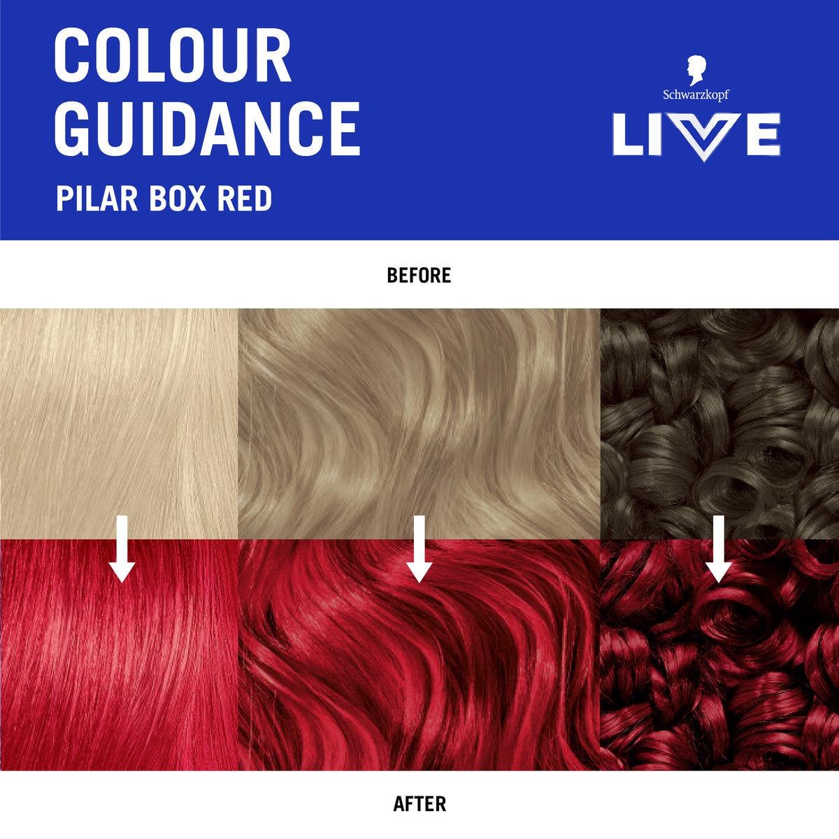 LIVE Colour U/B Pillar Box Red 75ml