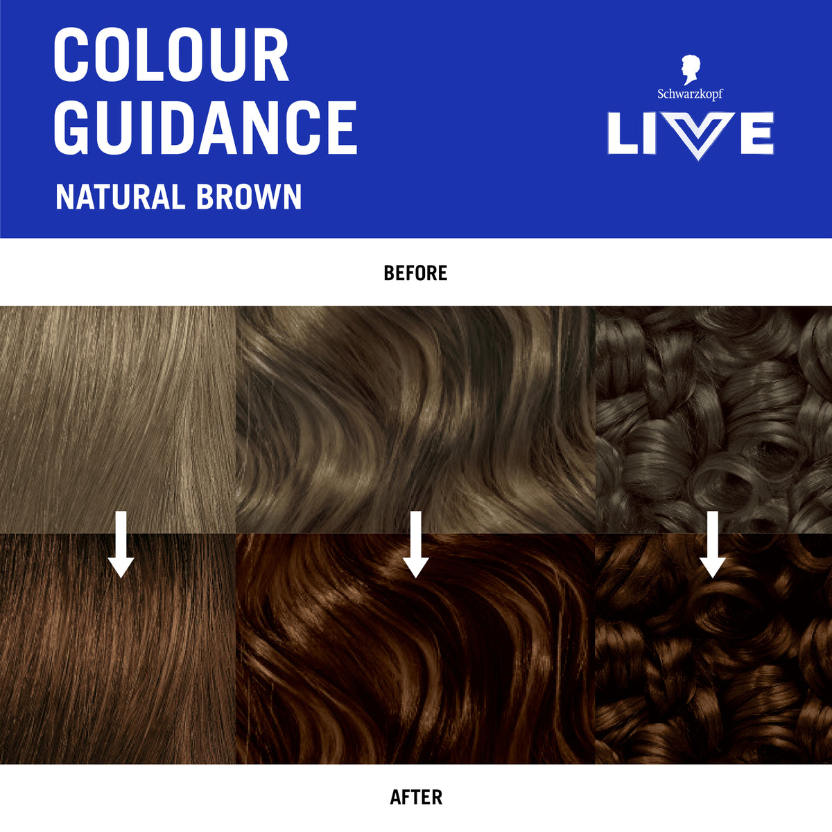 Schwarzkopf Live Color Baseline Natural Brown