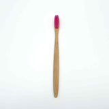 HB&Co Youth Bamboo Toothbrush