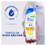 Head & Shoulders Oil Control 2in1 350ml