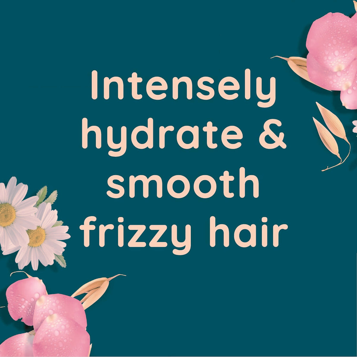 Aveeno Sensitive & Soft Rose Water and Chamomile Blend Shampoo For Scalp Soothing & Gentle Cleansing 354mL