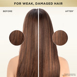 PANTENE Ultimate 10 R&P Shampoo 375ml