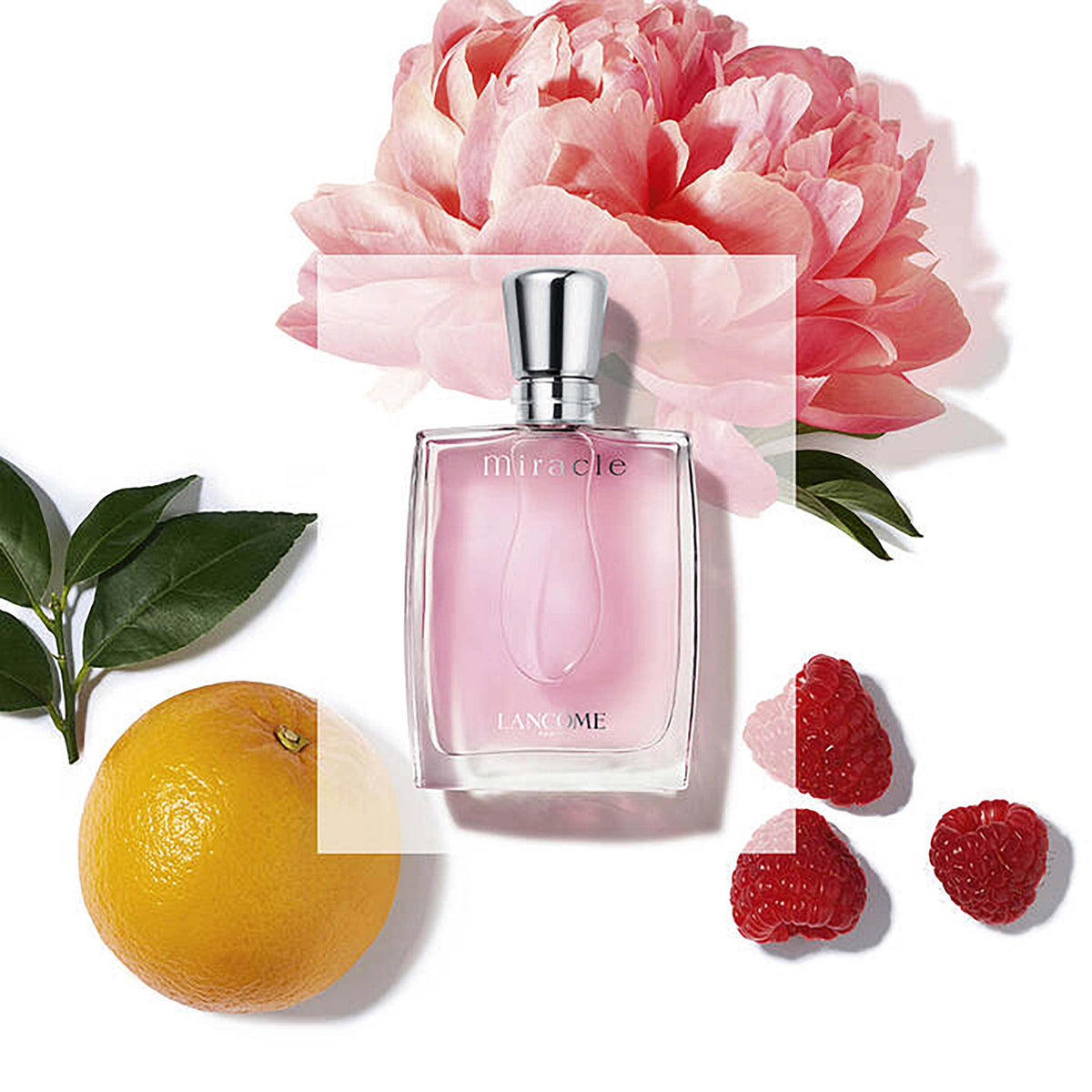 Lancome Miracle Eau De Parfum 50ml